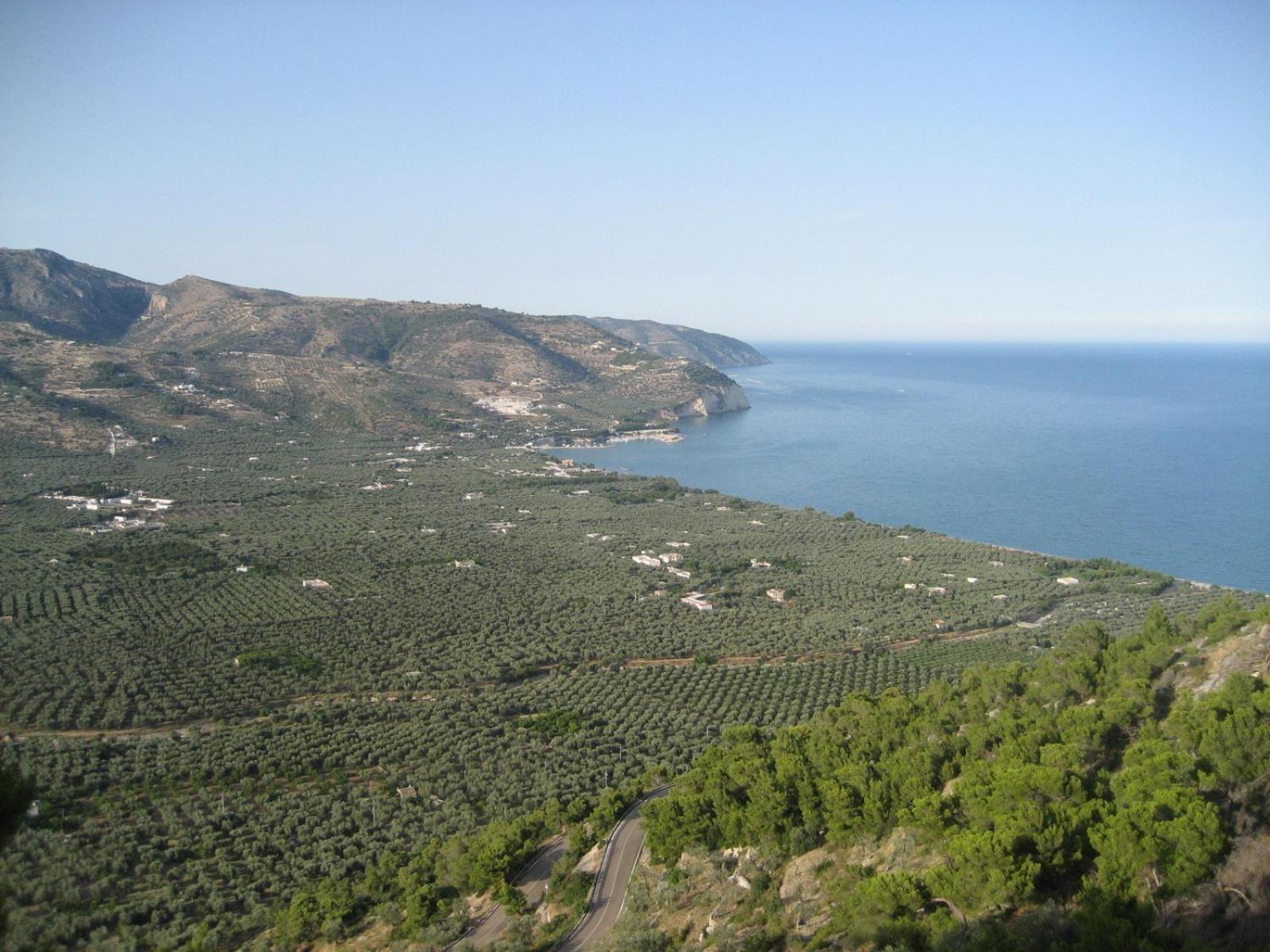 Mattinata Camping מראה חיצוני תמונה