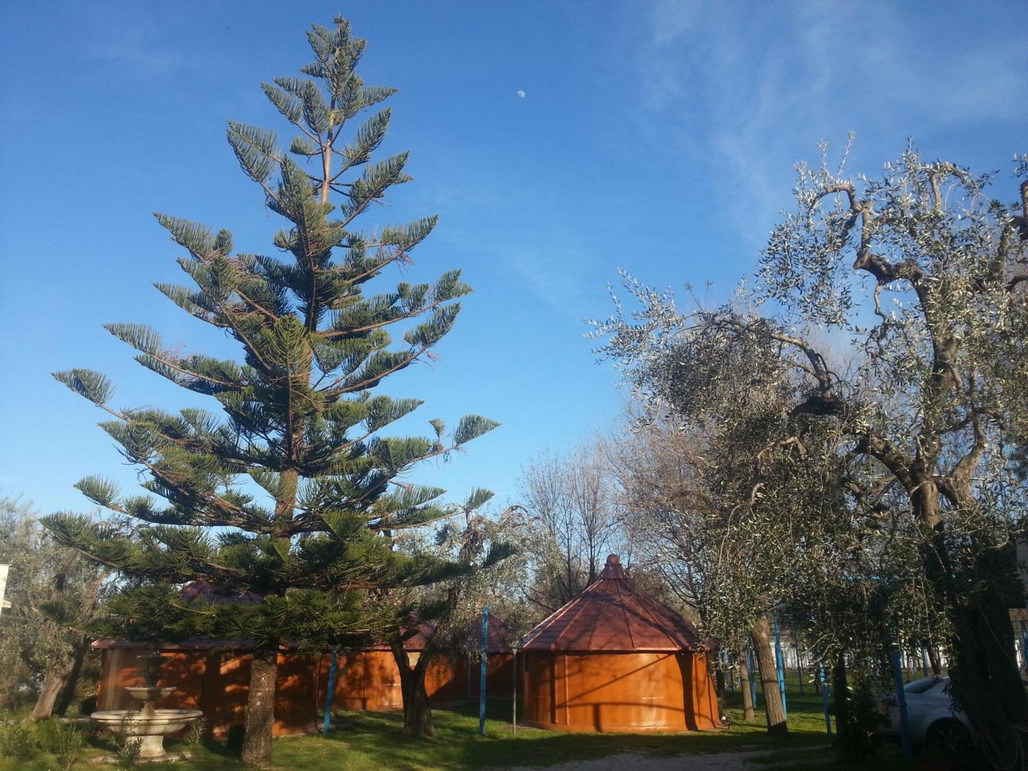 Mattinata Camping מראה חיצוני תמונה