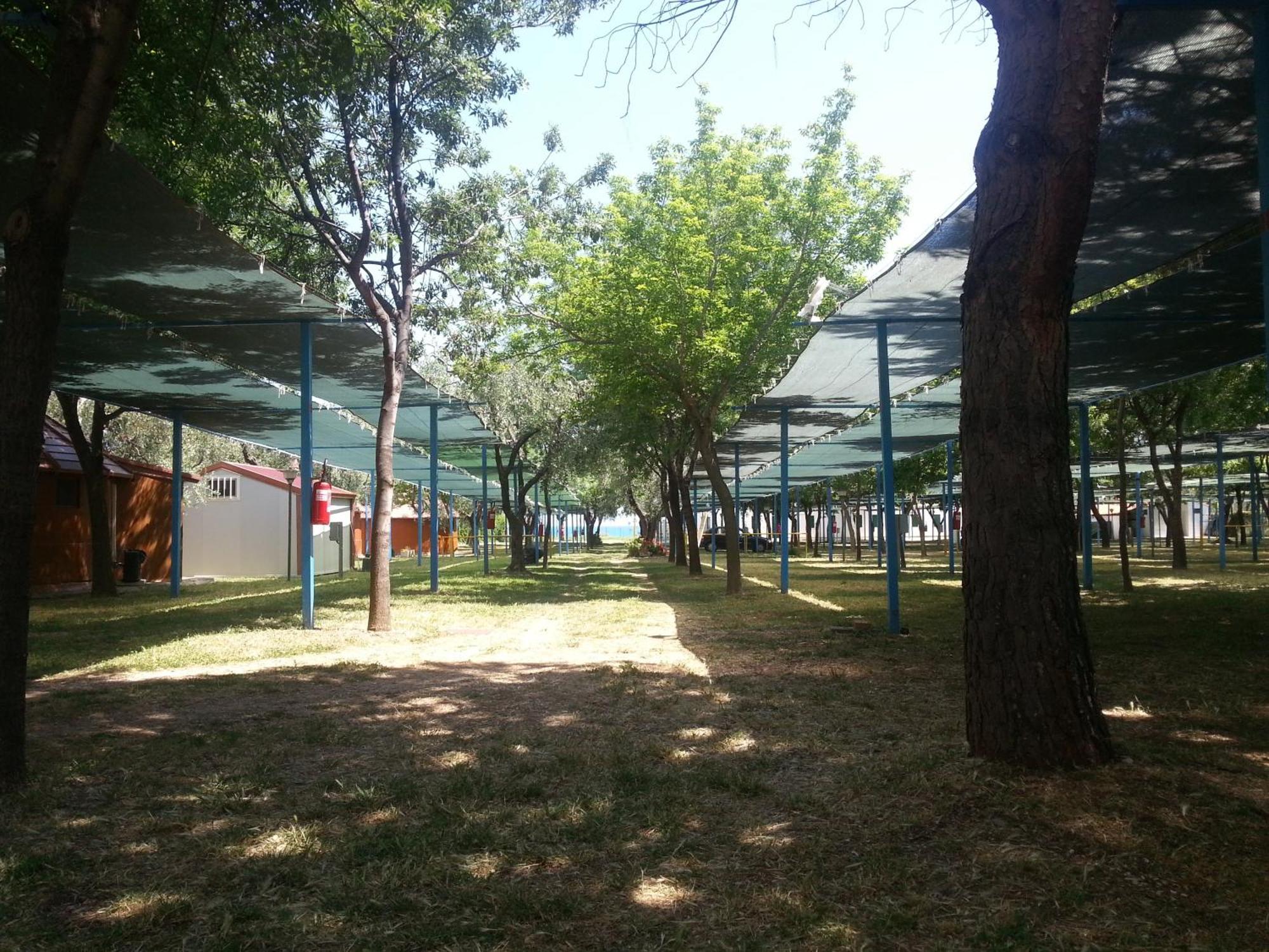 Mattinata Camping מראה חיצוני תמונה